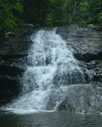 Bukit Rengit Waterfall